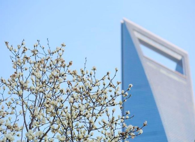 China's Commitment to Reform and Opening up Boosts Investor Confidence