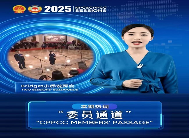 Buzzwords of Two Sessions②: CPPCC Members' Passage
