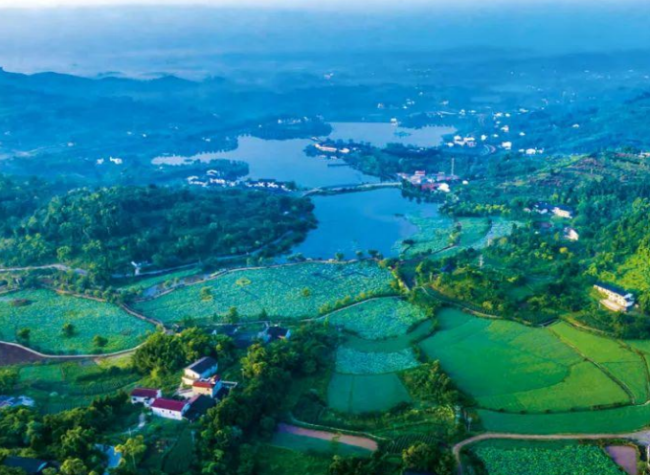 Chongqing Aims for 80% Accuracy in Urban Household Waste Classification by 2027