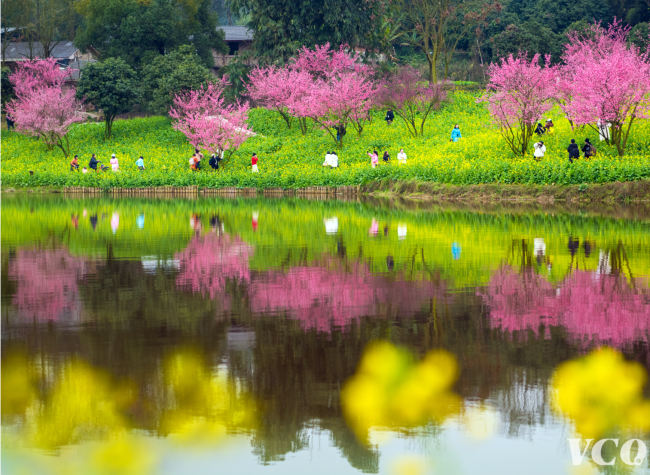 Visual Chongqing | Weekly City Views on March 3-9, 2025