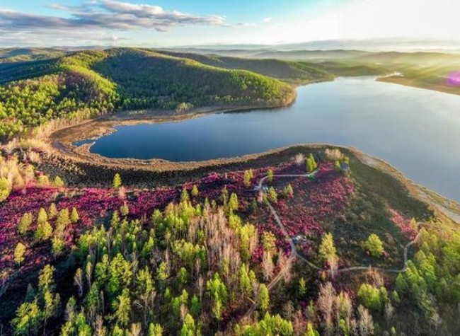 China Reinforcing Logging Ban in Sustainable Forestry Quest