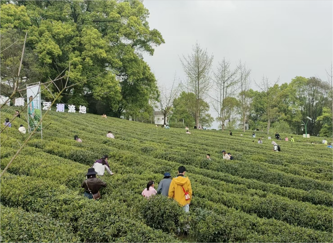 Qingming Holiday Drives Consumer Boom Across Chongqing