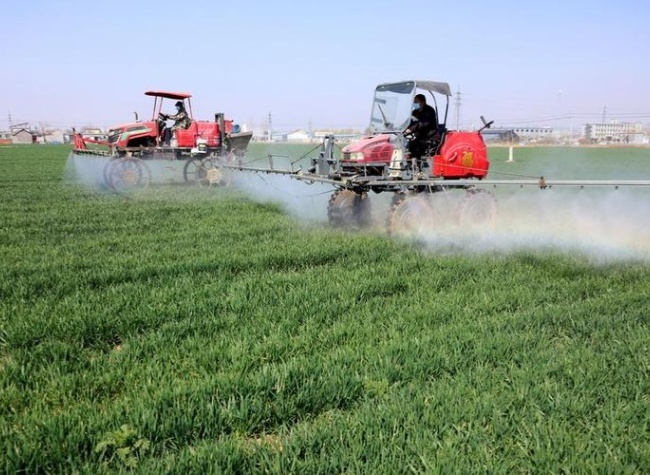 China Capable of Ensuring Food, Energy Supply Even Without U.S. Imports: Official