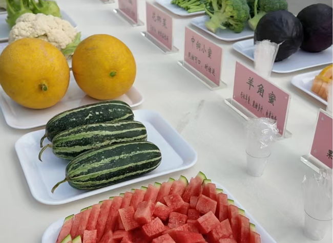 Chongqing Hosts On-Site Conference to Advance Rural Revitalization