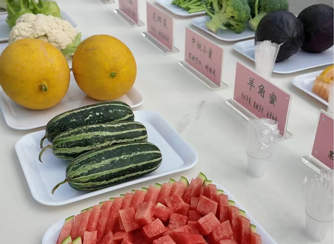 Chongqing Hosts On-Site Conference to Advance Rural Revitalization