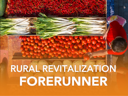 Rural Revitalization Forerunner | Chongqing: Great Hits of All Times⑤