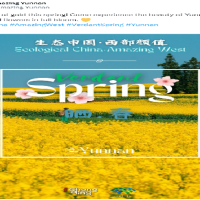 
#VerdantSpring #Yunnan