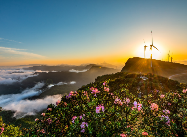 Visual Chongqing | Weekly City Views on May 12-18, 2025