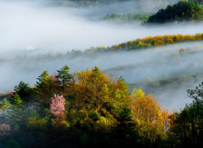 National Event on the Environment Day and Beautiful China Awareness Week to Feature Four Main Activities