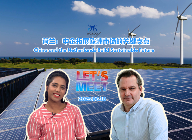 China and the Netherlands Build a Sustainable Future | Let's Meet