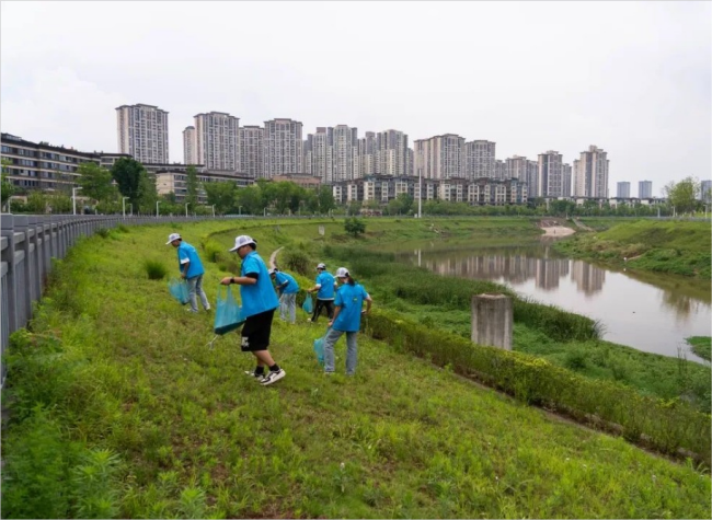 Beautiful China Carnival | Multiple Districts Join Hands to Build a Green Homeland