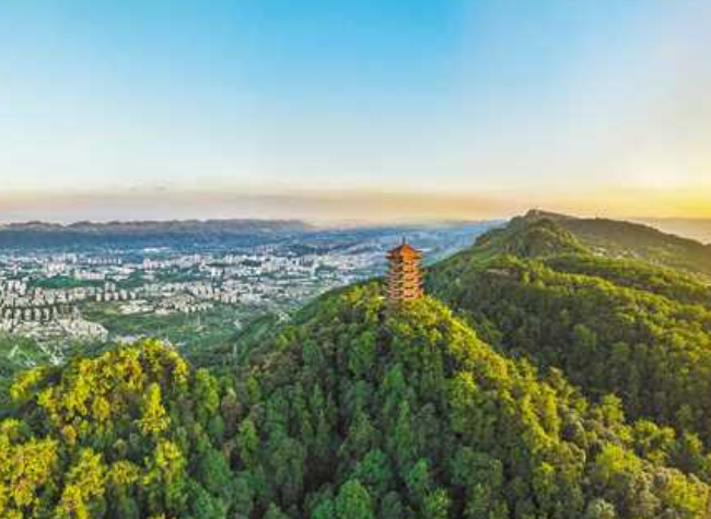 Chongqing Low-Carbon Environmental Service Industry Cluster Officially Established