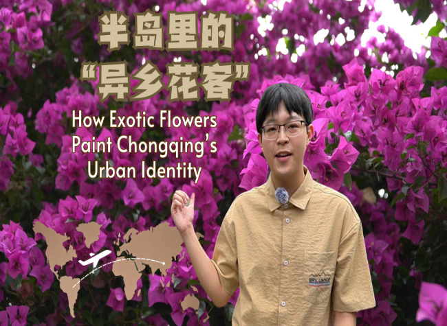 How Exotic Flowers Paint Chongqing's Urban Identity