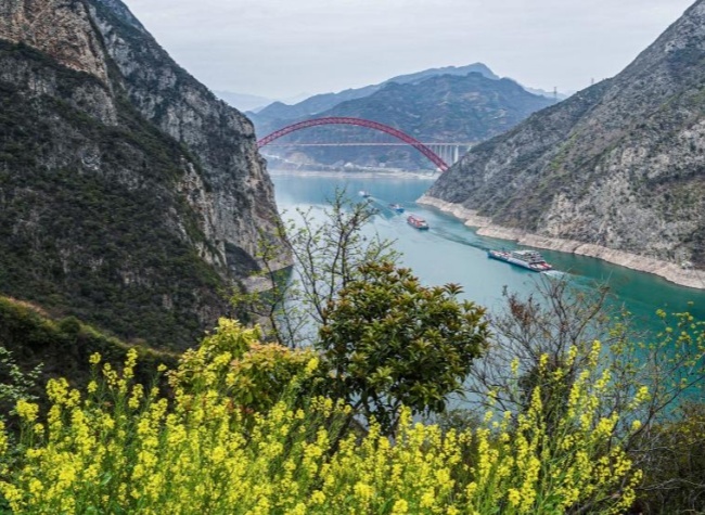 Yangtze River Cruises Welcome 58.5% More International Visitors in H1