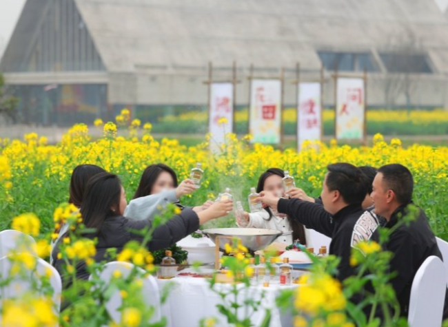 From Underdevelopment to National Acclaim: A Chongqing Model for Sustainable Rural Transformation