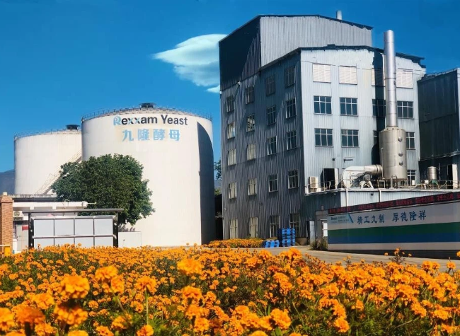 Across China: Foreign Investment Expands Southwest China's 