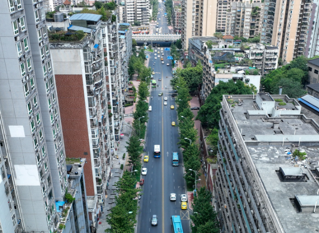 Chongqing Reports Greener Urban Transport as New Energy Vehicle Use Soars