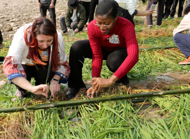 Int'l Students Drive Eco-Friendly Changemaking in Chongqing