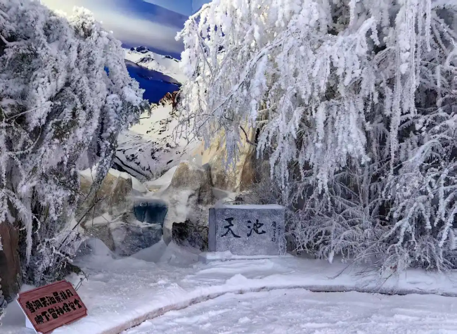 Feature: NE China's Jilin Reinvents Ski Resorts for Summer Thrills on Snowy Slopes