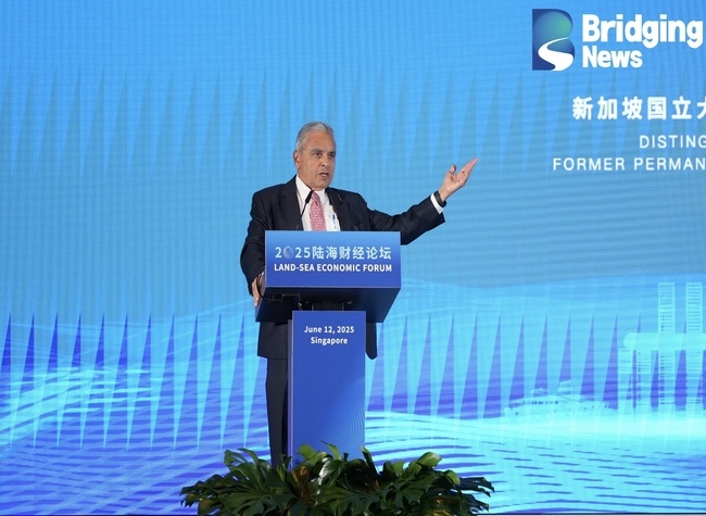 2025 Land-Sea Economic Forum Drives China-ASEAN Industrial Cooperation