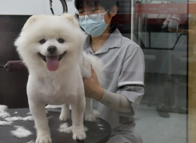 New Majors in Animal Science, Marriage Services and More Answer Evolving Career Demands