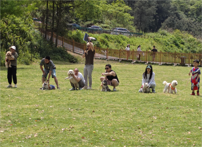 A Mountain Retreat for Pets and People: How Chongqing's Pet Tourism Park Drives Rural Vitality