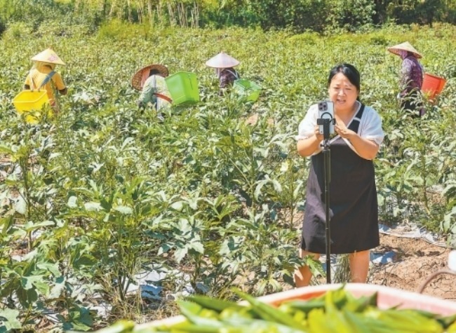 The Quiet Transformation of China's Countryside: Rising Incomes, More Jobs
