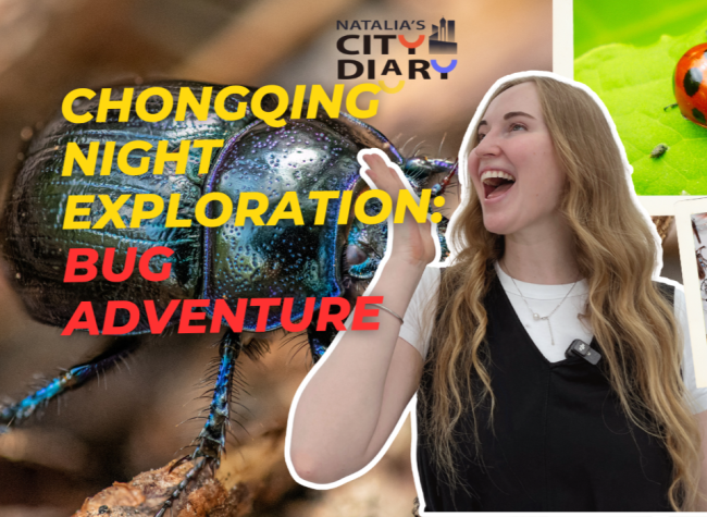 Celebrating Nature: A Nighttime Bug Adventure in Chongqing