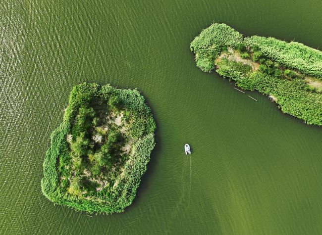 China Champions Global Cooperation on Wetland Conservation at Cop15