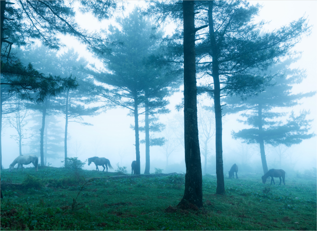 Visual Chongqing | Weekly City Views on July 28-August 3, 2025