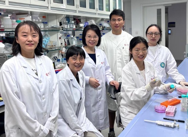 Boost for Women as Chinese Scientists Identify Key Target for Treating Adenomyosis