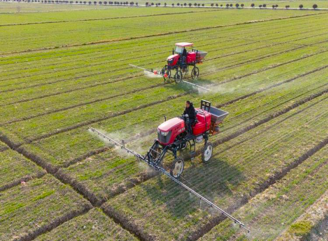 Record Rice Harvest in Chongqing as Drones, Precision Fertilization Boost Yields