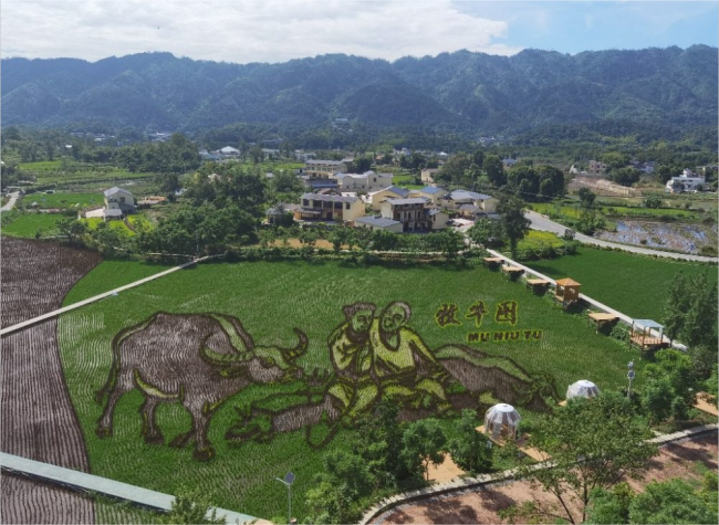 Vibrant Art Transforms Chongqing's Countryside