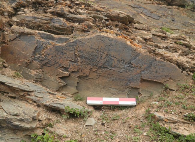 China Discovers Highest-altitude Qin Dynasty Engraved Stone on Qinghai-Tibet Plateau