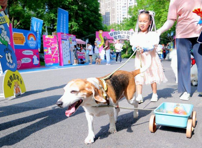 Nearly 3,000 Residents and Their Pets Enjoy Carnival in Chongqing