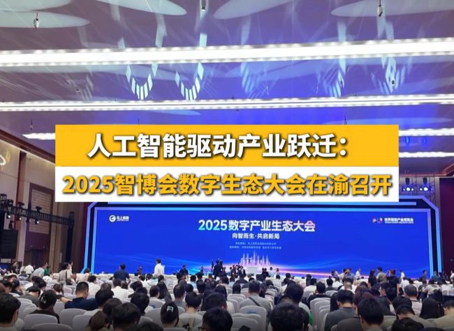 Digital Industry Ecosystem Conference Signals Deeper Integration of Digital and Real Economies | WSIE 2025