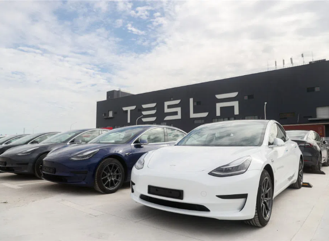 Tesla Ordered to Release Full Data in Legal Battle with Rights Advocate Owner