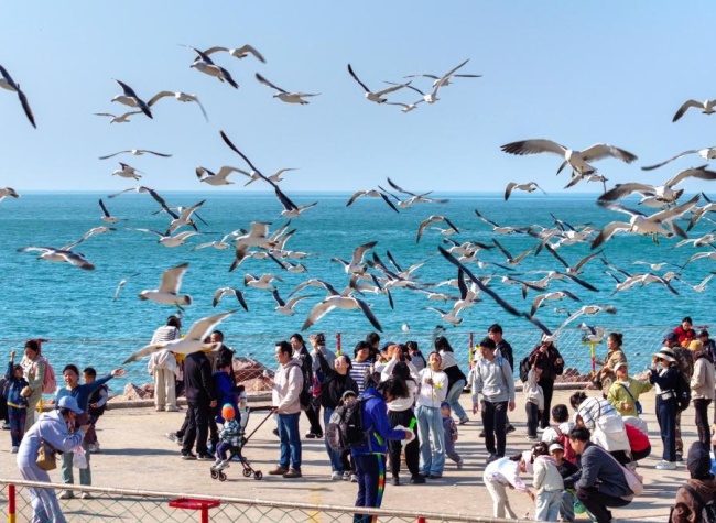 Number of Domestic Trips, Tourist Expenditure Reaching New Heights in H1 2025: Minister