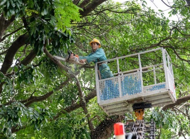 Over 370,000 Relocated as Guangdong Raises Typhoon Alert to Top Level