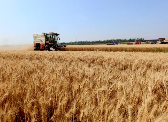 Economic Watch: Smart Agritech Machinery Drives China's Push Toward Modern Agriculture