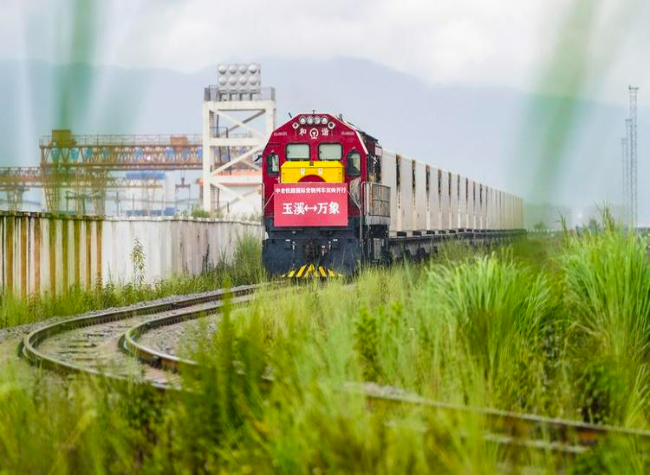 China-Laos Railway Boosts Southeast Asian Durian Sales in China