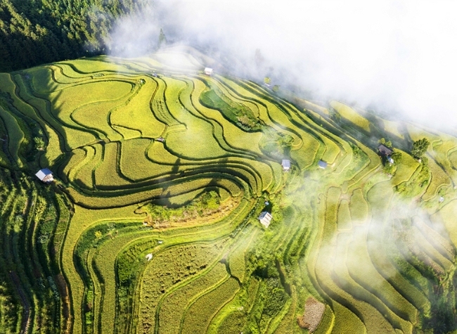 Economic Watch: How Digital, Intelligent Tech is Reshaping Global Tourism