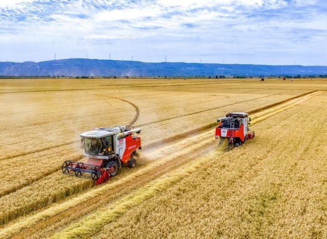 China Sees More Prosperous Agriculture, Livable Countryside