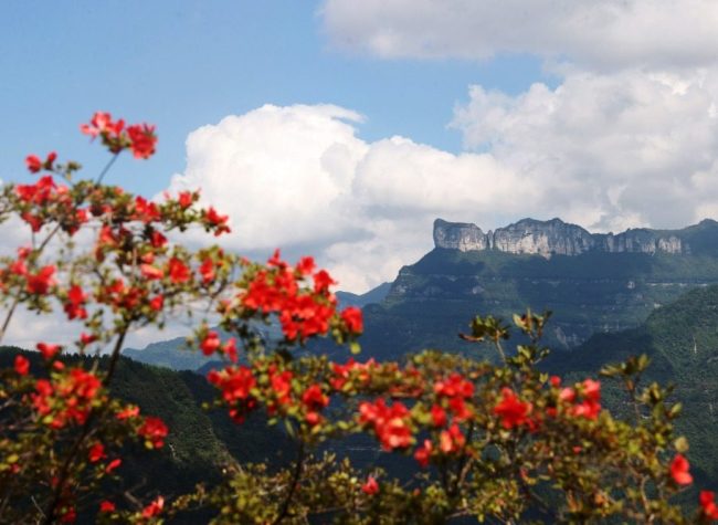 Micro-Vacations Boom as Sichuan–Chongqing Border Towns Attract Urban Travelers