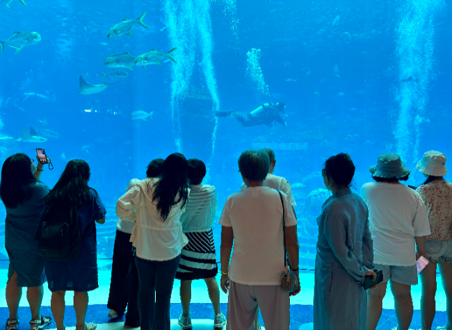 Hainan Holiday Highlights Contrasts of Bustle, Calm Shores, and the Local Economy | Reporter's Diary