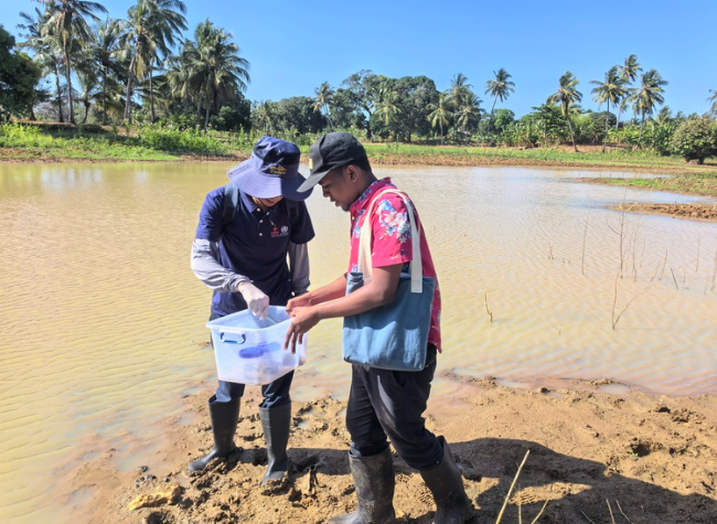 Chinese Experts Help Zanzibar Create 1st Map to Combat Schistosomiasis