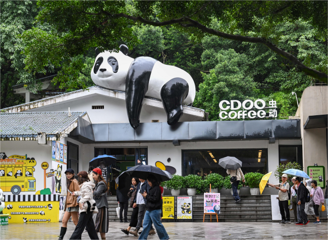 How a 70-Year-Old Zoo Became Chongqing's New Urban IP