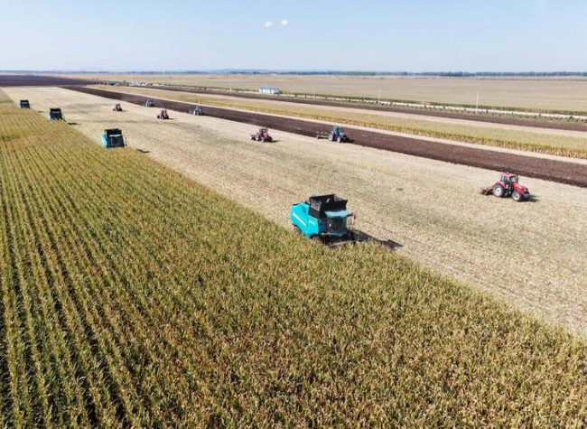 Chinese University Unveils New AI Model for Agriculture