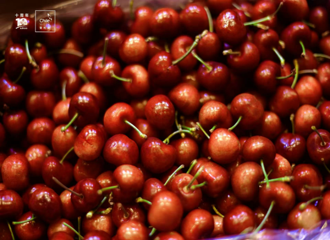 Chile Taps Chongqing as Gateway to Western China's Booming Fruit Market