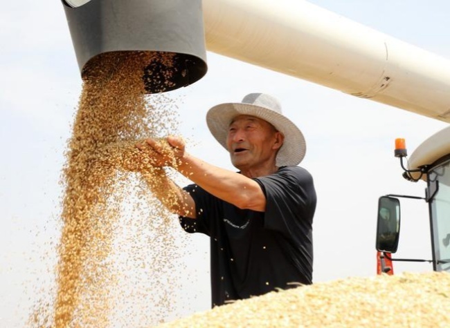 How China Contributes to World Food Security by Holding Its